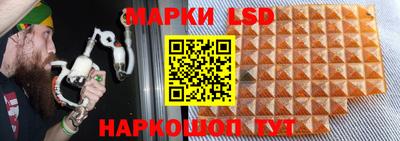 jwh Краснодар