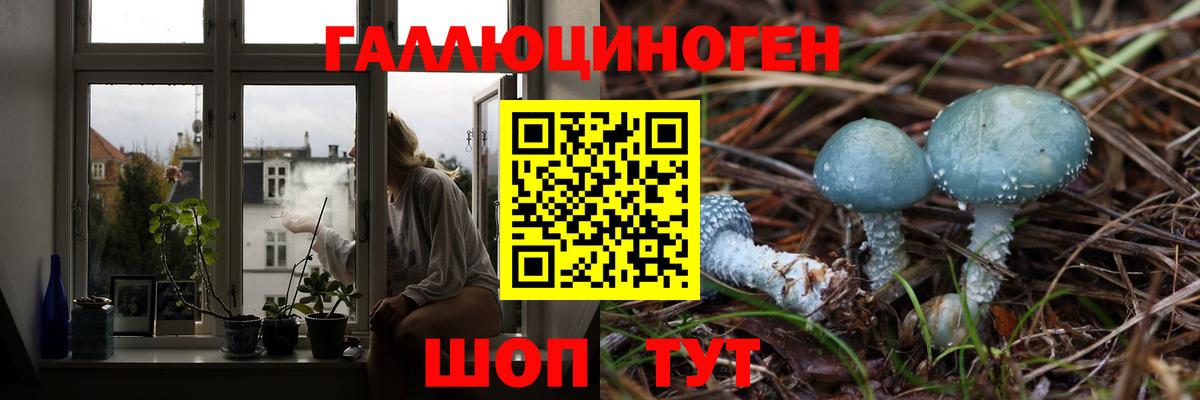 где продают наркотики  Вход с VPN  Рассказово  Псилоцибиновые грибы MAGIC MUSHROOMS 